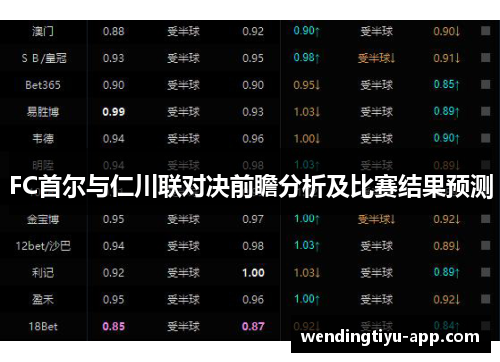 FC首尔与仁川联对决前瞻分析及比赛结果预测